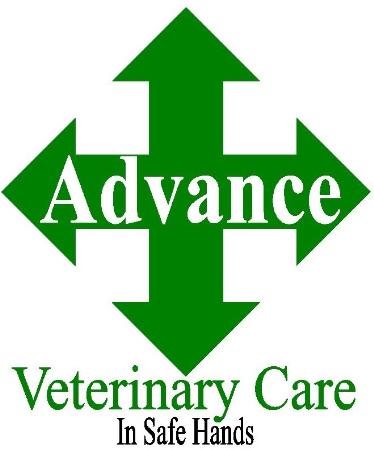 Advance Veterinary Care Lisburn 02892 667544
